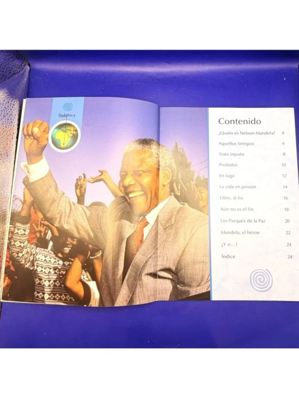 Nelson Mandela En Lucha Por La Libertad Biography Spanish PB Homeschool Reading
